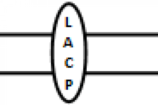 LACP.png